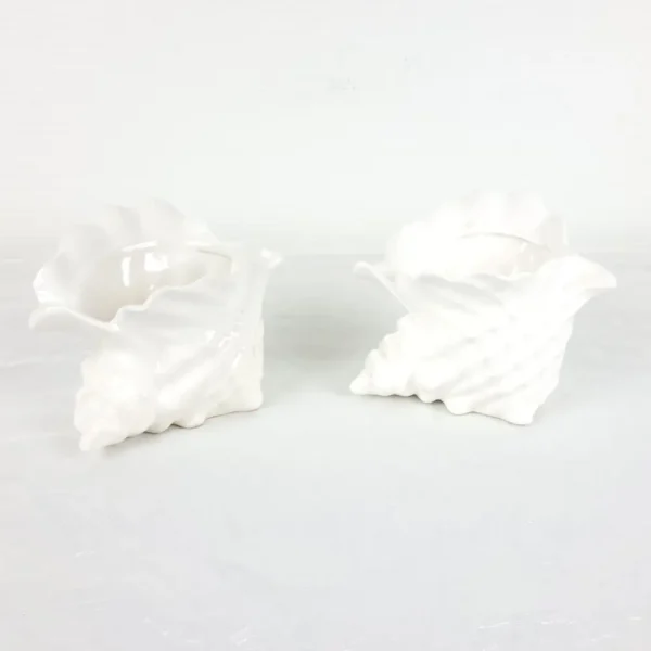 Porcelæns konkylier