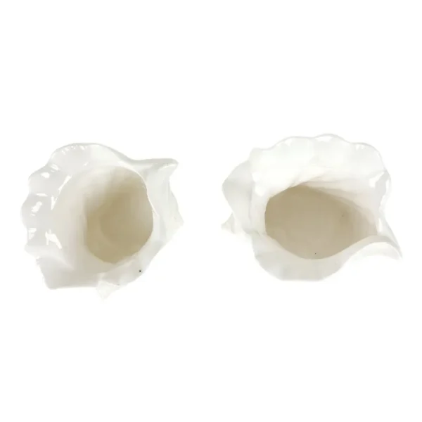 Porcelæns konkylier fra top