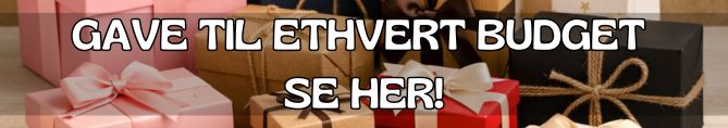 Find den perfekte gave til ethvert budget